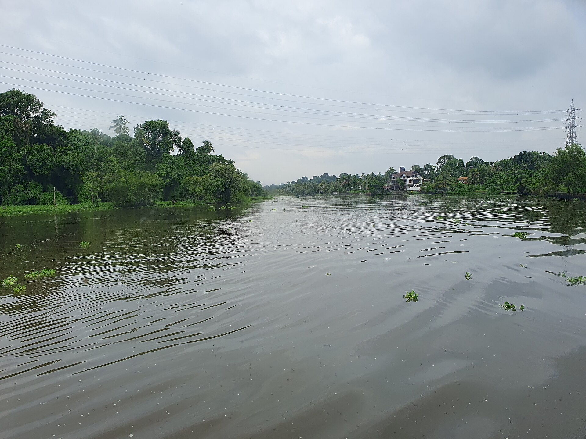 Kerala backwaters in Kochi under a grey monsoon sky
